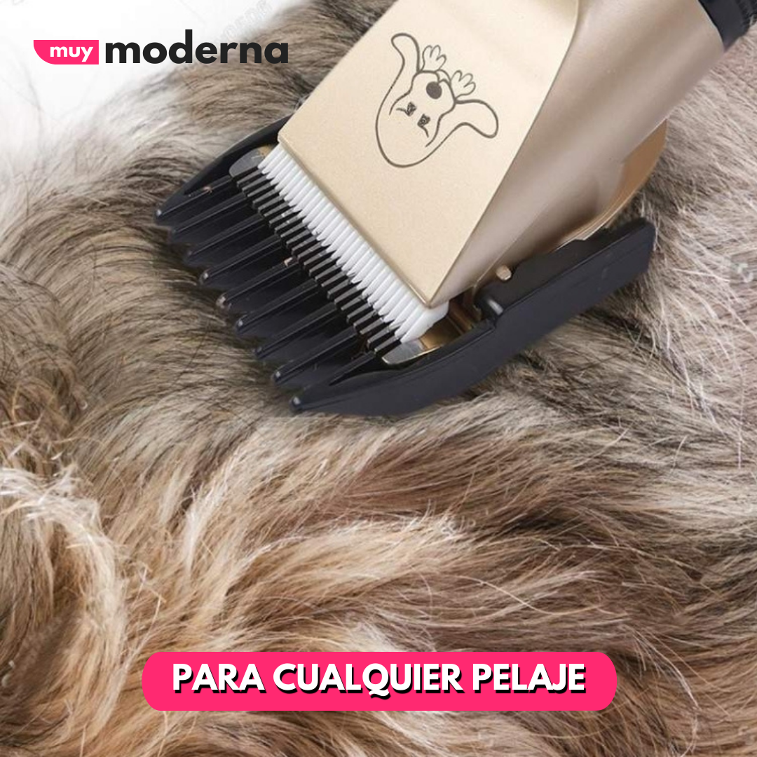 Cortadora Pet Grooming para Mascotas