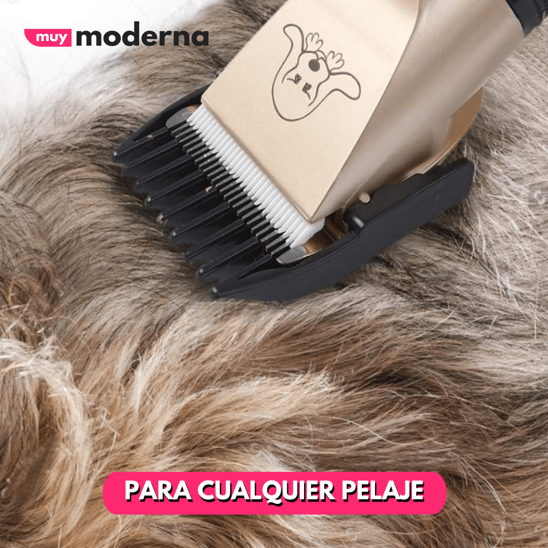 Cortadora Pet Grooming para Mascotas - Muy Moderna Uruguay