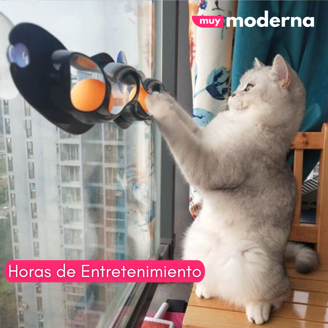 Juguete para Gatos Track N Roll