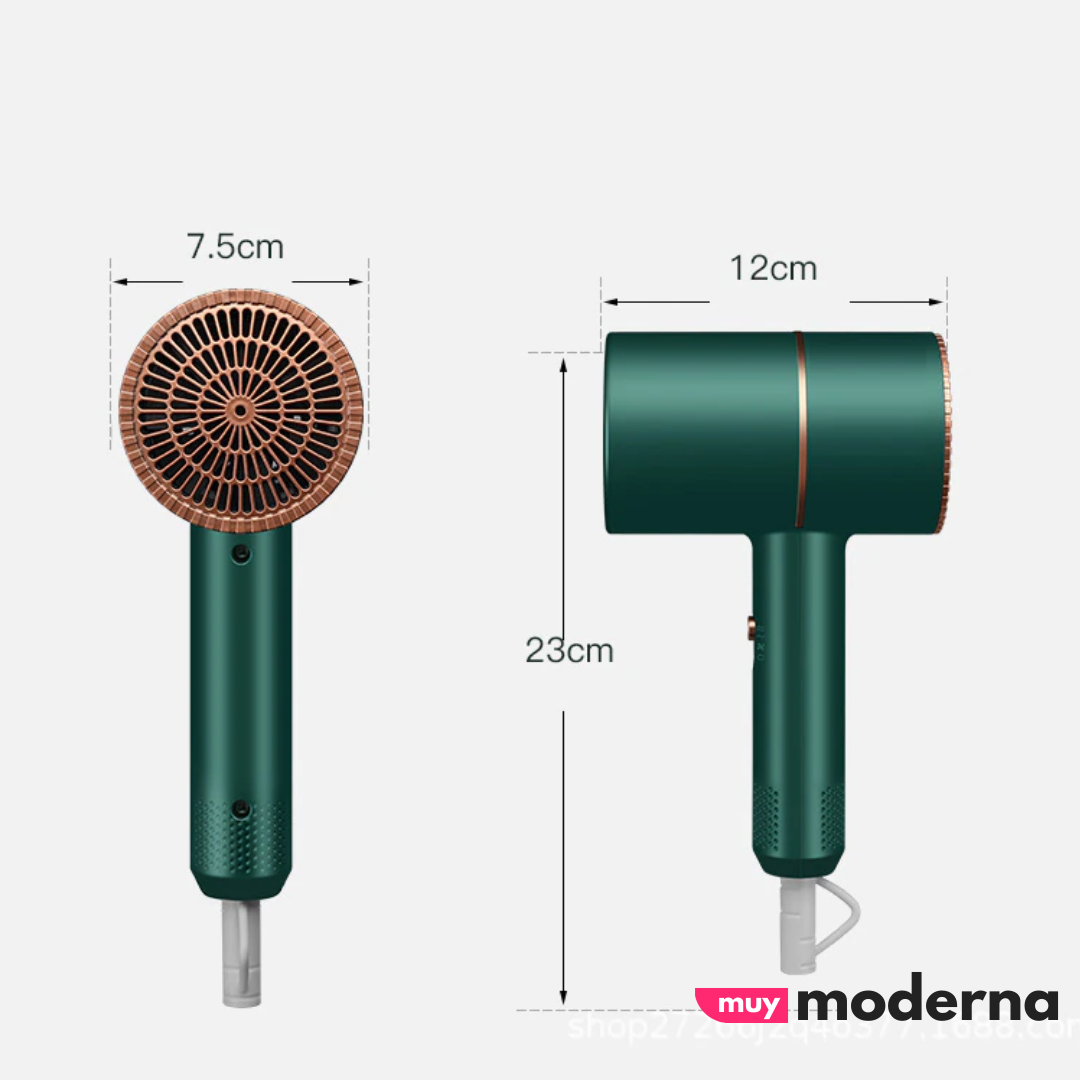 Secador Iónico Compacto