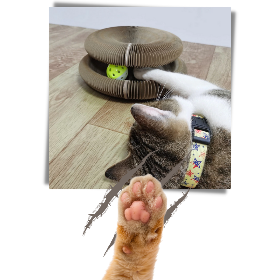 Scratchy Rascador con Pelota para Gatos