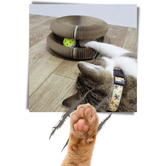 Scratchy Rascador con Pelota para Gatos - Muy Moderna Uruguay