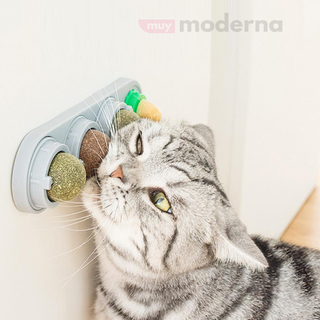 Juguete Giratorio de Hierba Gatera Catnip