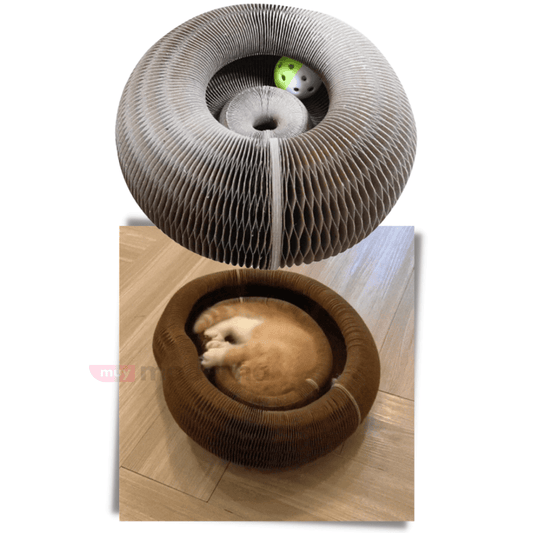 Scratchy Rascador con Pelota para Gatos - Muy Moderna Uruguay