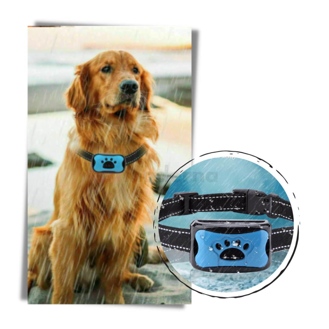 Collar de Masaje Vibratorio Anti Ladridos