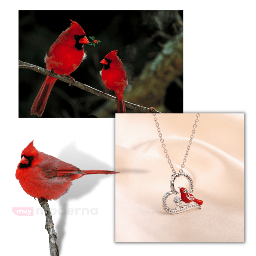 Collar Corazon de Cardenal - Muy Moderna Uruguay