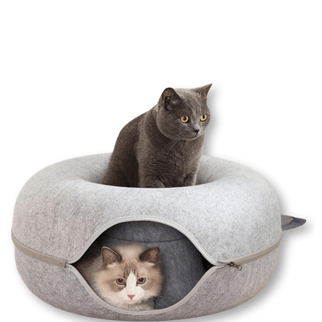 Cama Túnel para Gatos Diversión Asegurada - Muy Moderna Uruguay