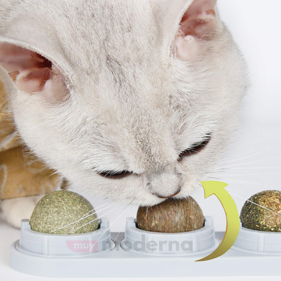 Juguete Giratorio de Hierba Gatera Catnip