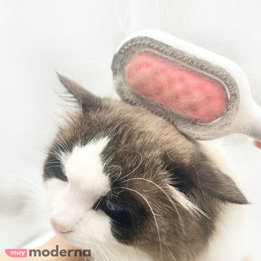 Cepillo Desenredador Quita Pelos 2 en 1 Para Mascotas