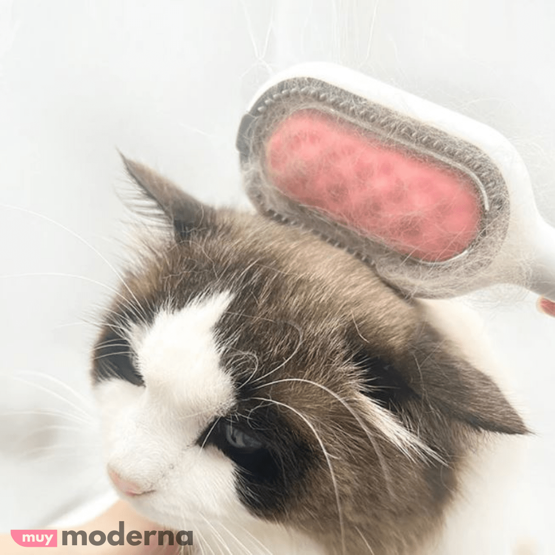 Cepillo Desenredador Quita Pelos 2 en 1 Para Mascotas - Muy Moderna Uruguay