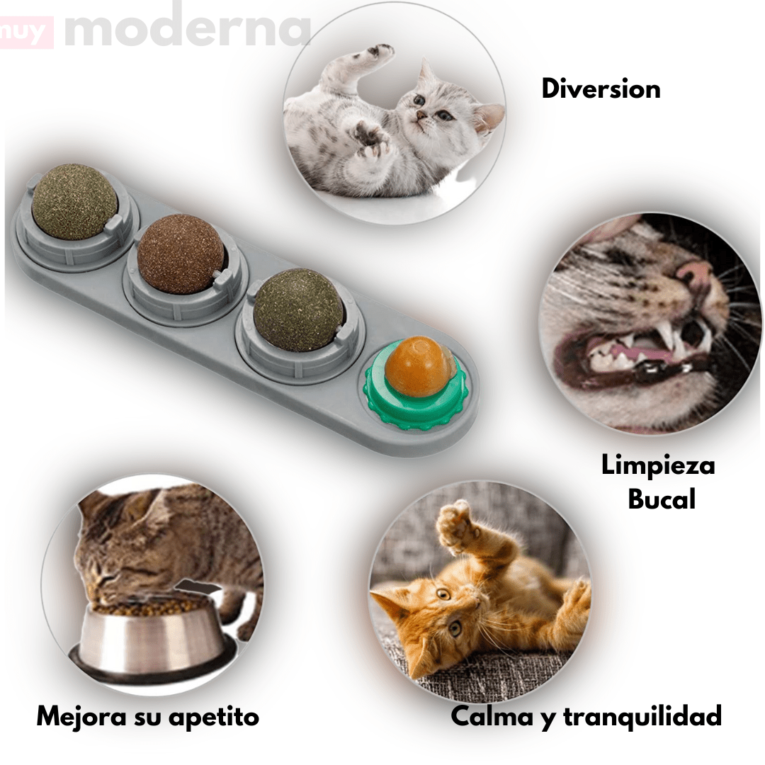 Juguete Giratorio de Hierba Gatera Catnip - Muy Moderna Uruguay
