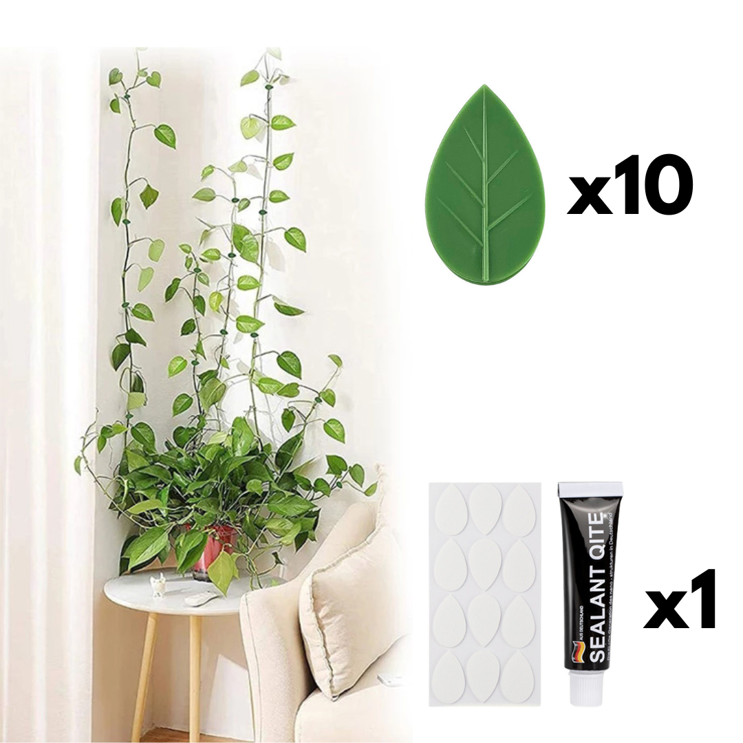 Set de 10 Clips Adhesivos Guia para Plantas