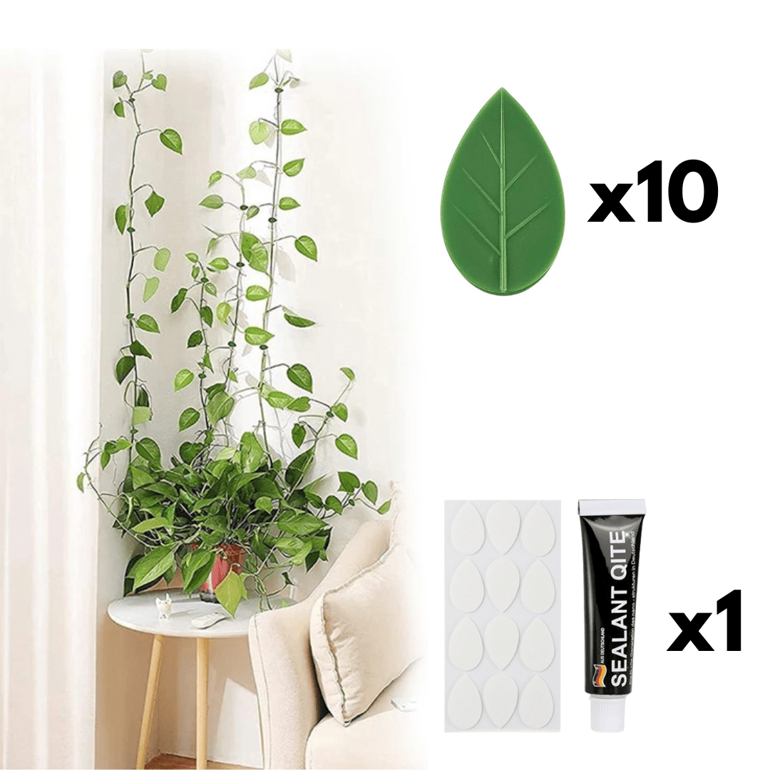 Set de 10 Clips Adhesivos Guia para Plantas - Muy Moderna Uruguay