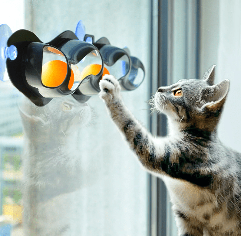 Juguete para Gatos Track N Roll