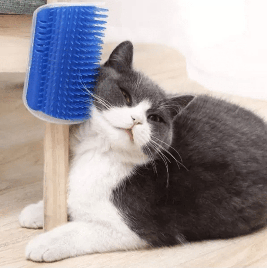 Rascador Esquinero para Gatos con Hierba Gatuna - Muy Moderna Uruguay