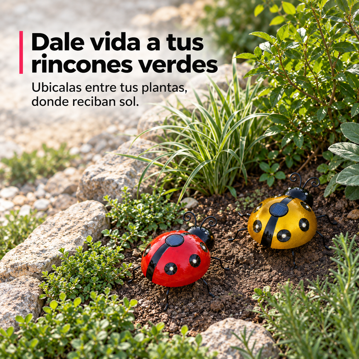 Mariquitas solares roja y amarilla colocadas entre plantas en un cantero de jardín.