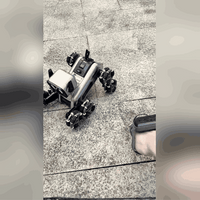 Perro Robot con Control Remoto y por Gestos, Luces y Música