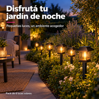 Luces Solares LED para Jardín con Estaca · Pack de 6