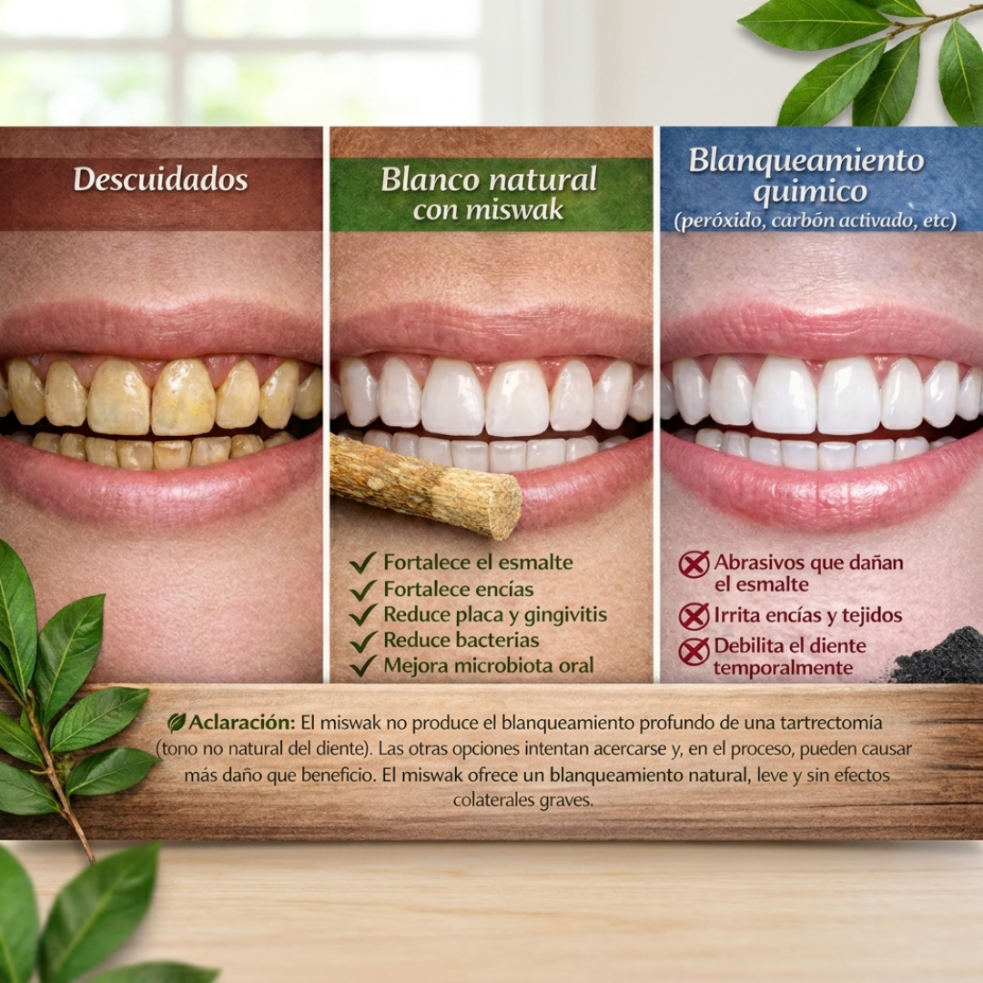 Cepillo de Dientes Natural Miswak - Pack x10 Ecológico y Biodegradable