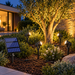 Set de 4 Focos LED Solares Orientables para Jardín
