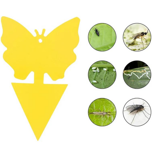 Set de 20 Trampas Adhesivas Anti Insectos para Plantas