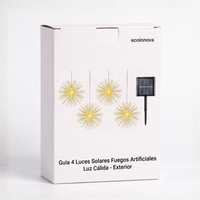 Guia 4 Luces Solares Fuegos Artificiales- Ecoinnova