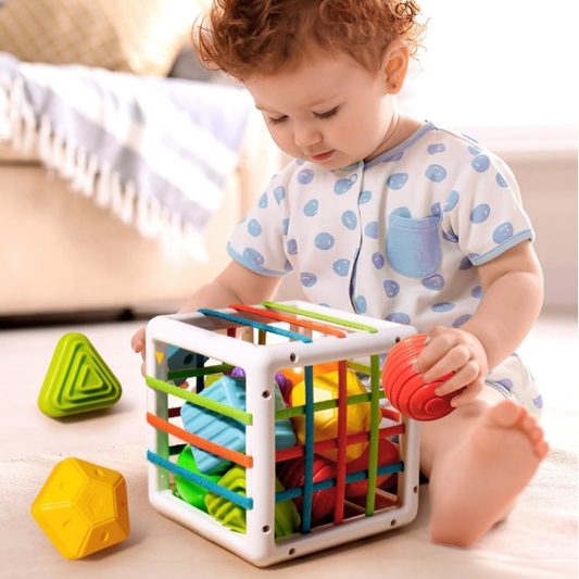 Cubo Didáctico Montessori con Formas de Encastre