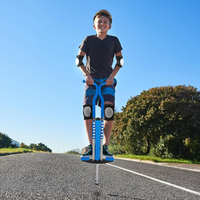 Palo Saltarin Pogo Stick Infantil De Metal