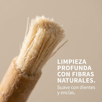Cepillo de Dientes Natural Miswak - Pack x10 Ecológico y Biodegradable