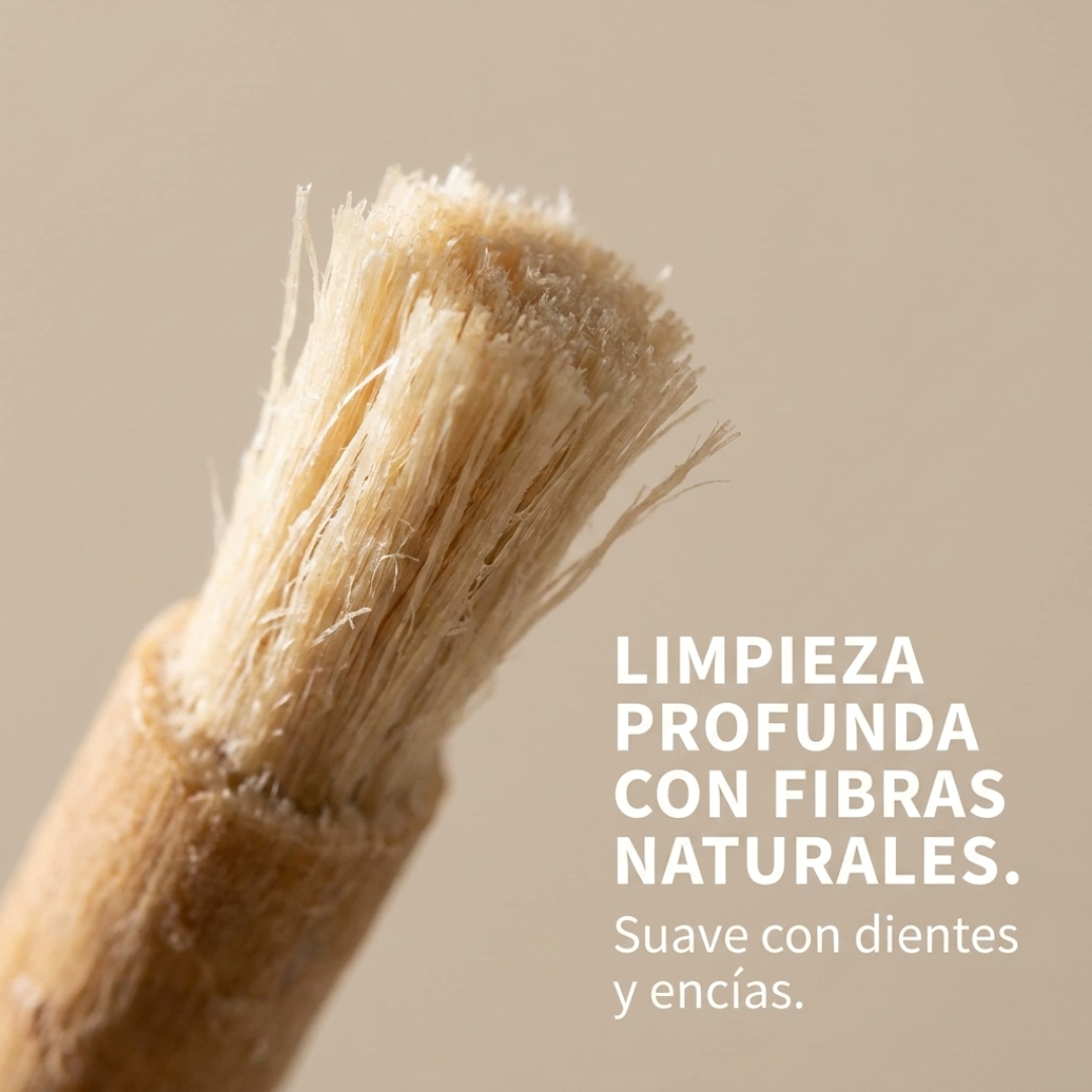 Cepillo de Dientes Natural Miswak - Pack x10 Ecológico y Biodegradable