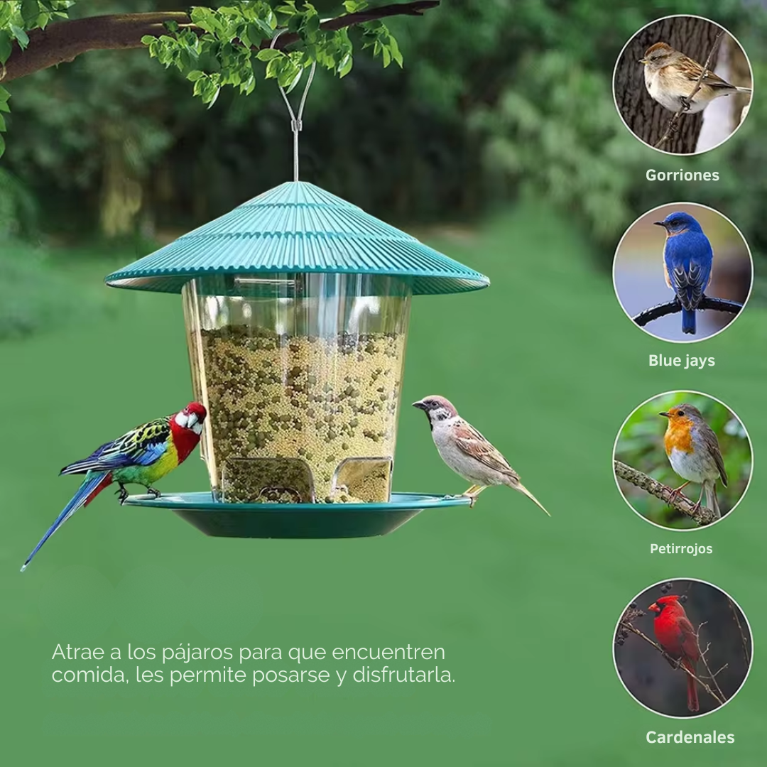 Comedero Automático Colgante para Pájaros