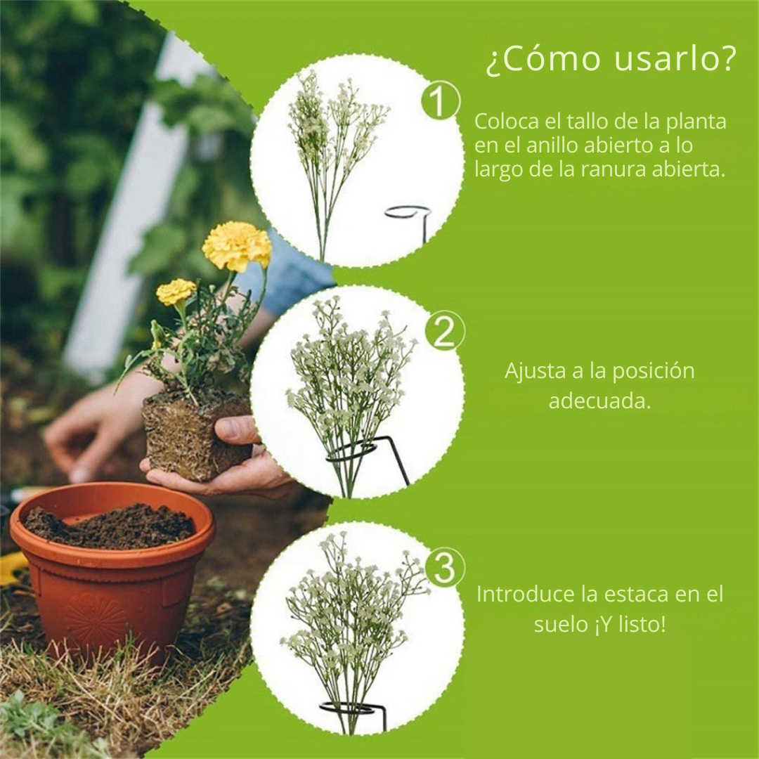 Set de 10 Tutores para Enderezar Plantas y Flores