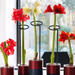 Set de 10 Tutores para Enderezar Plantas y Flores