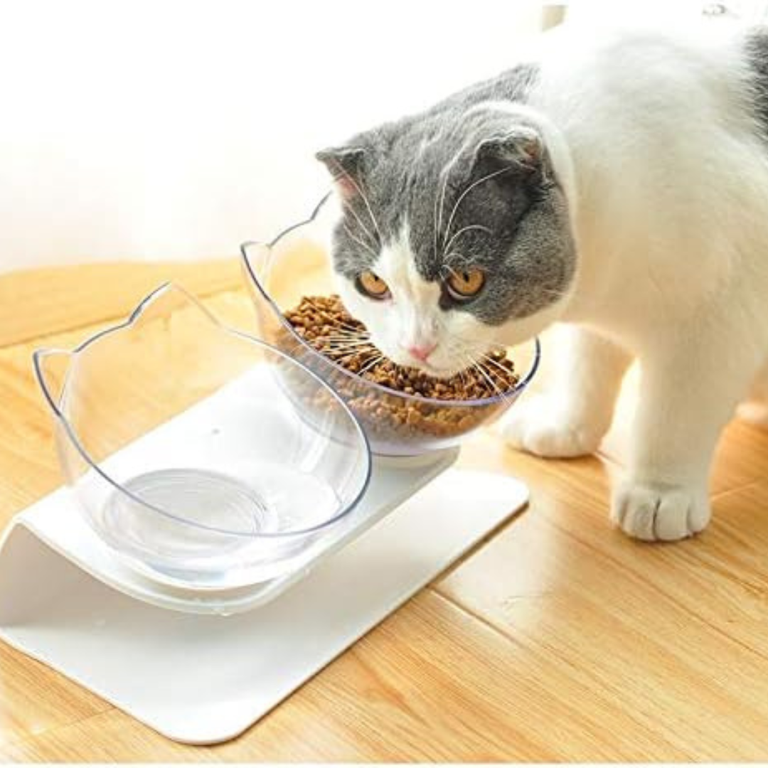 Comedero y Bebedero Elevado para Gato