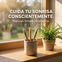 Cepillo de Dientes Natural Miswak - Pack x10 Ecológico y Biodegradable