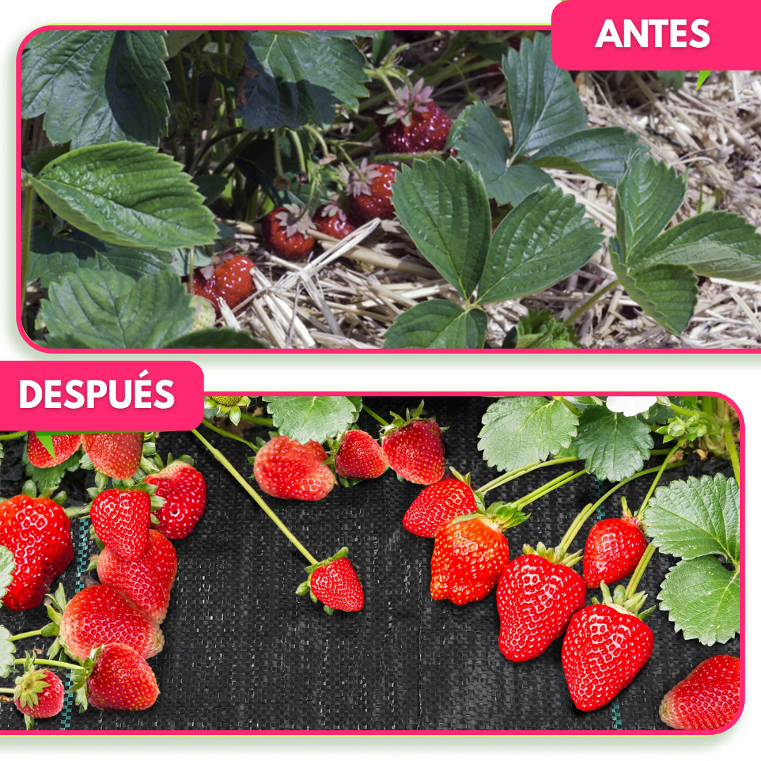 Malla Antihierba Geotextil Permeable Para Jardín E Invernadero 10m
