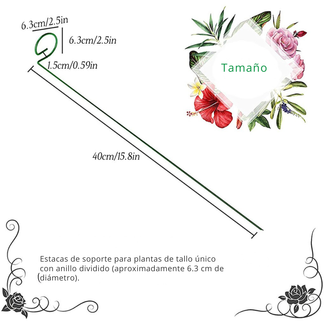 Set de 10 Tutores para Enderezar Plantas y Flores