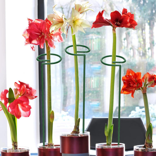 Set de 10 Tutores para Enderezar Plantas y Flores