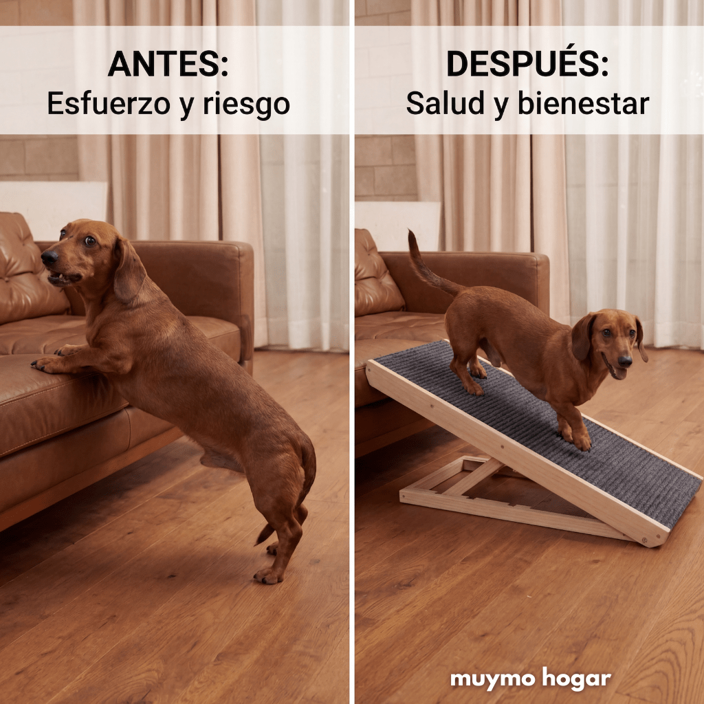Rampa De Seguridad Ajustable Para Perros muymo hogar - Muy Moderna Uruguay