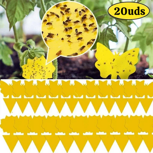 Set de 20 Trampas Adhesivas Anti Insectos para Plantas