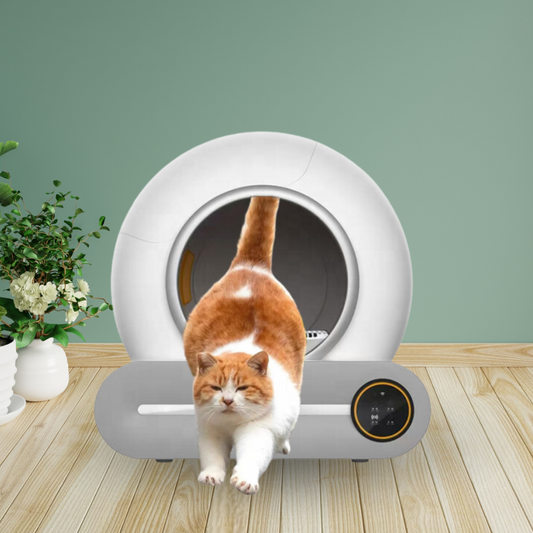 Arenero Automático Inteligente para Gatos con Aplicación Wifi