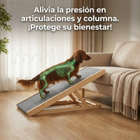 Rampa De Seguridad Ajustable Para Perros muymo hogar - Muy Moderna Uruguay