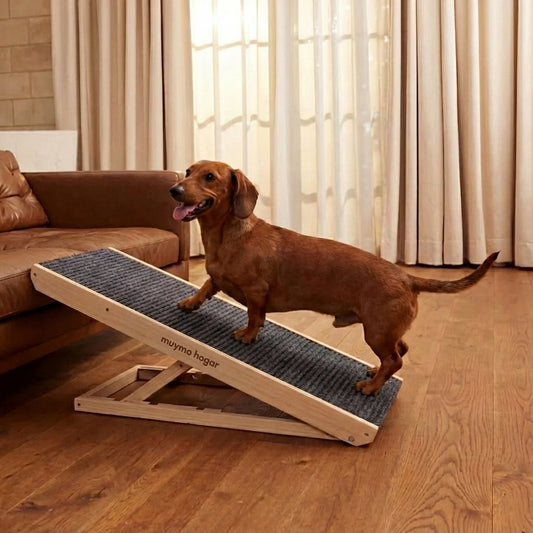 Rampa De Seguridad Ajustable Para Perros muymo hogar - Muy Moderna Uruguay