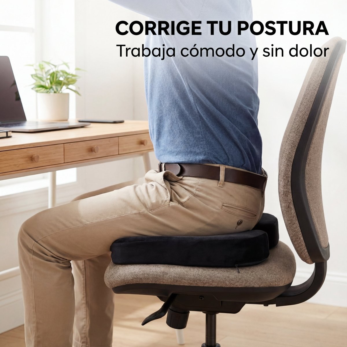 Memory Seat - Almohadón con Memoria - Muy Moderna Uruguay