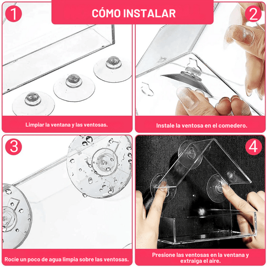 Comedero para Pájaros de Ventana con Ventosa - Muy Moderna Uruguay