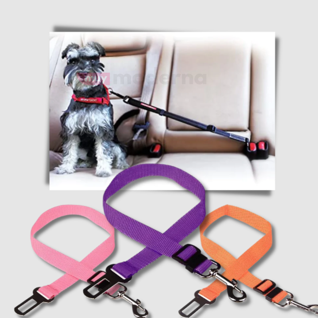 Cinturon de Seguridad para Mascotas