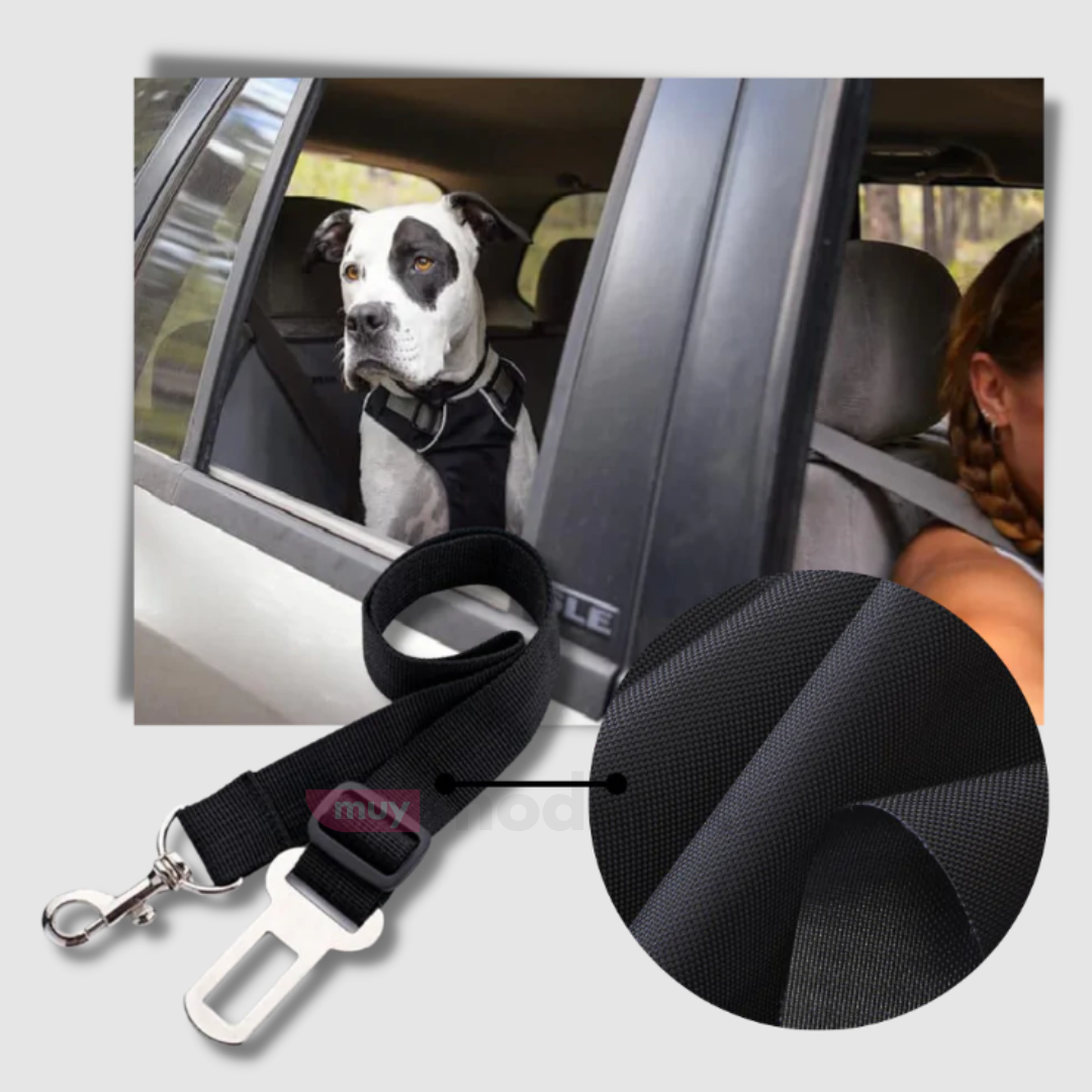 Cinturon de Seguridad para Mascotas