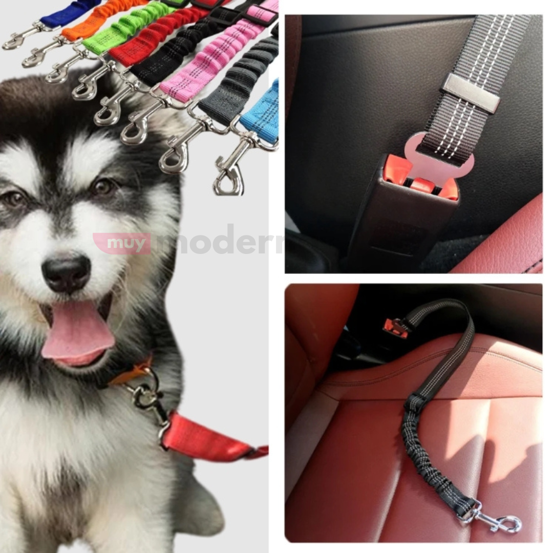 Cinturon de Seguridad para Mascotas