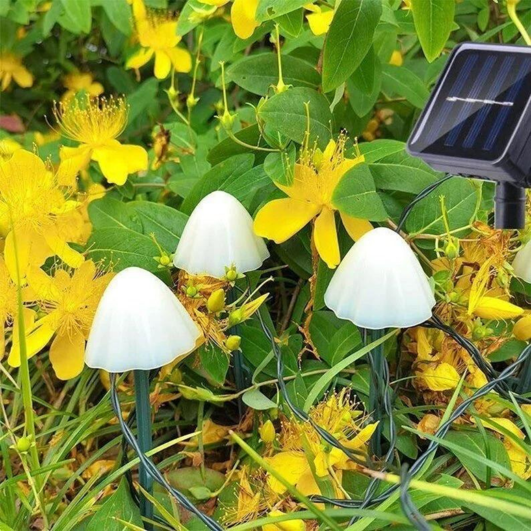 Guia de Hongos LED Solar para Jardín