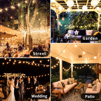 Guía de Luces LED Cálidas (8 Metros)